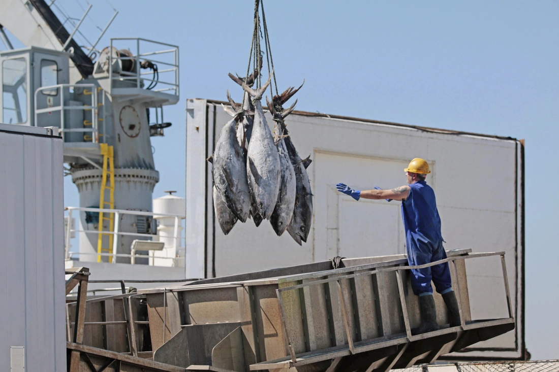 food and beverage logistics - fish and seafood